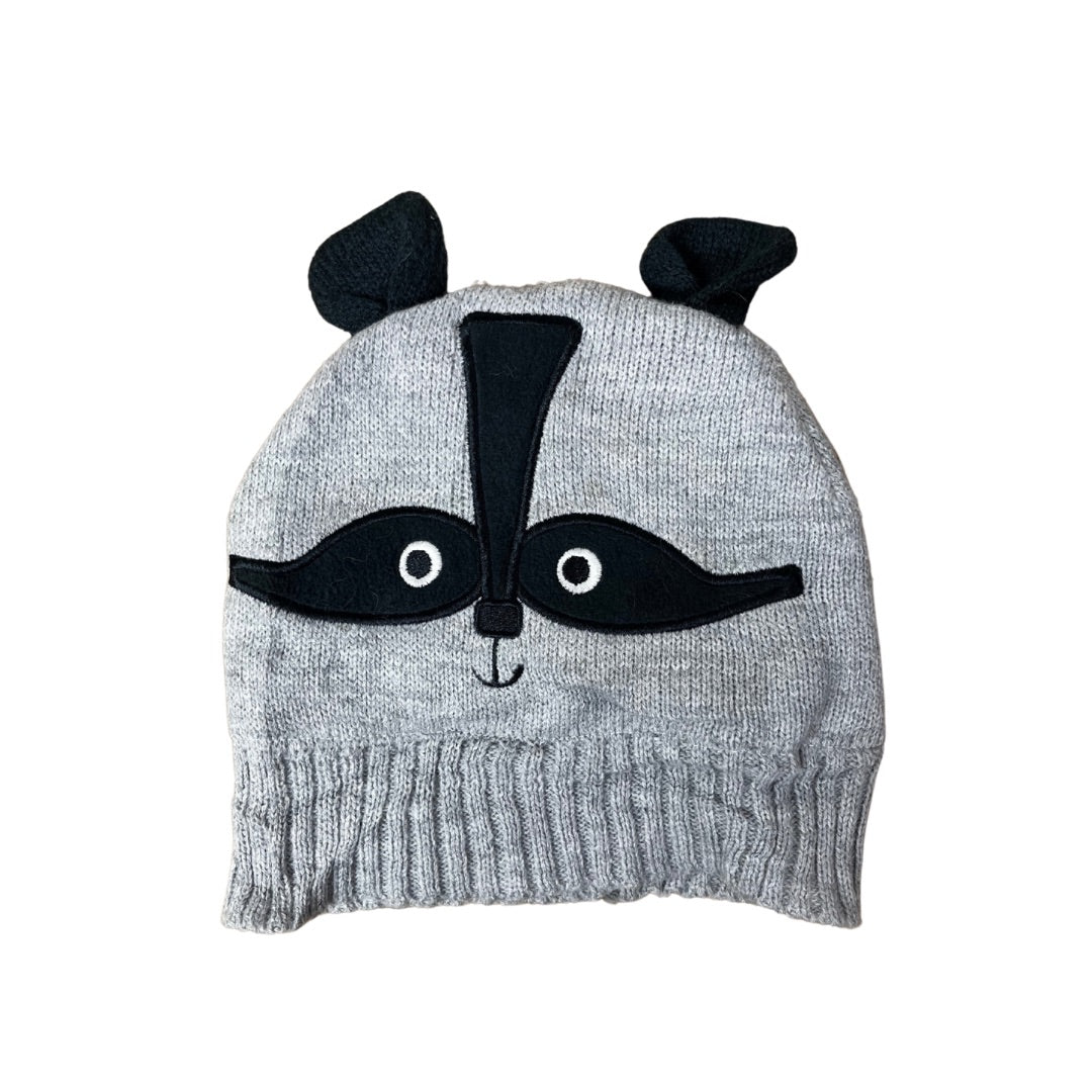 Grey Raccoon Knit Beanie with Ears