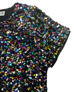 Tu Multicolor Sequinned Top