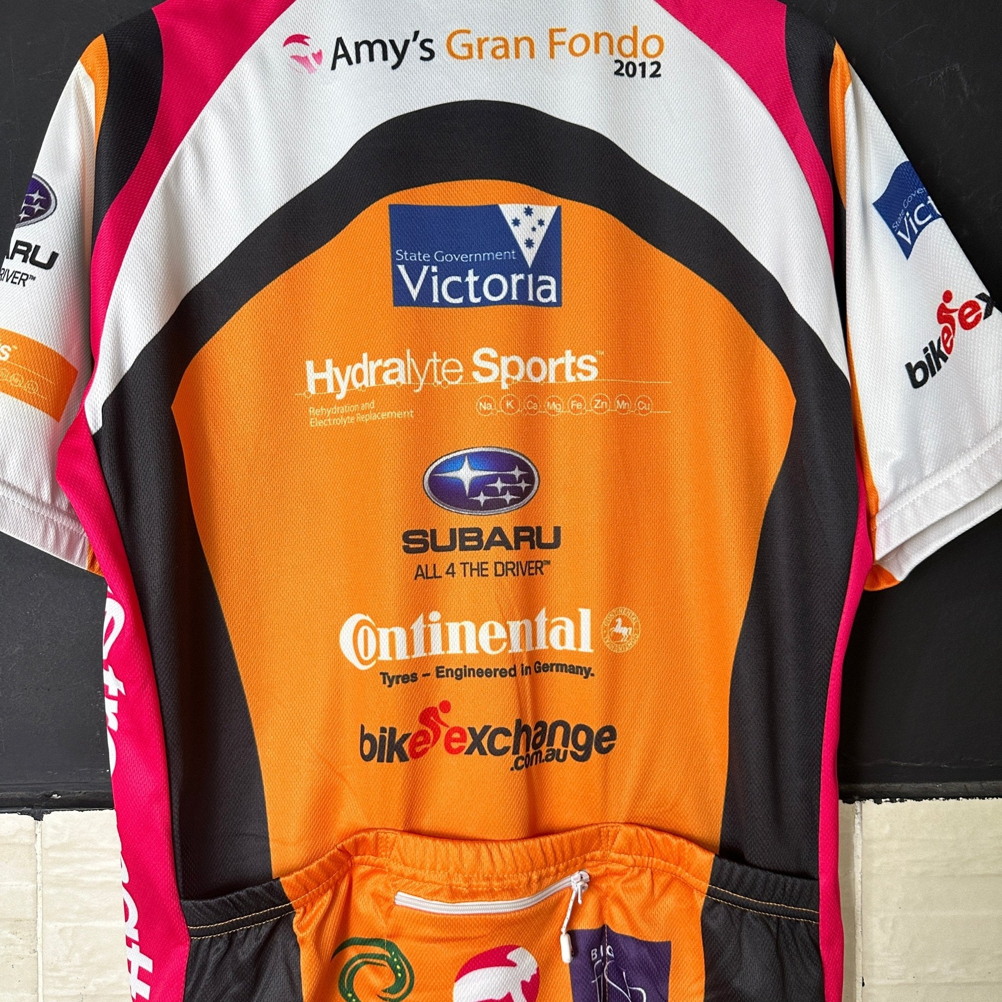 2012 Body Torque Amy's Gran Fondo Cycling Jersey - Funkify