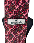 Platanus Necktie 9 cm