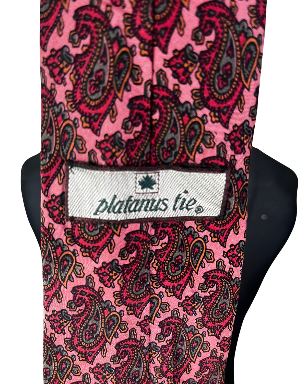 Platanus Necktie 9 cm