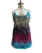 Multicolor Ombre Sequin Mini Dress - Large