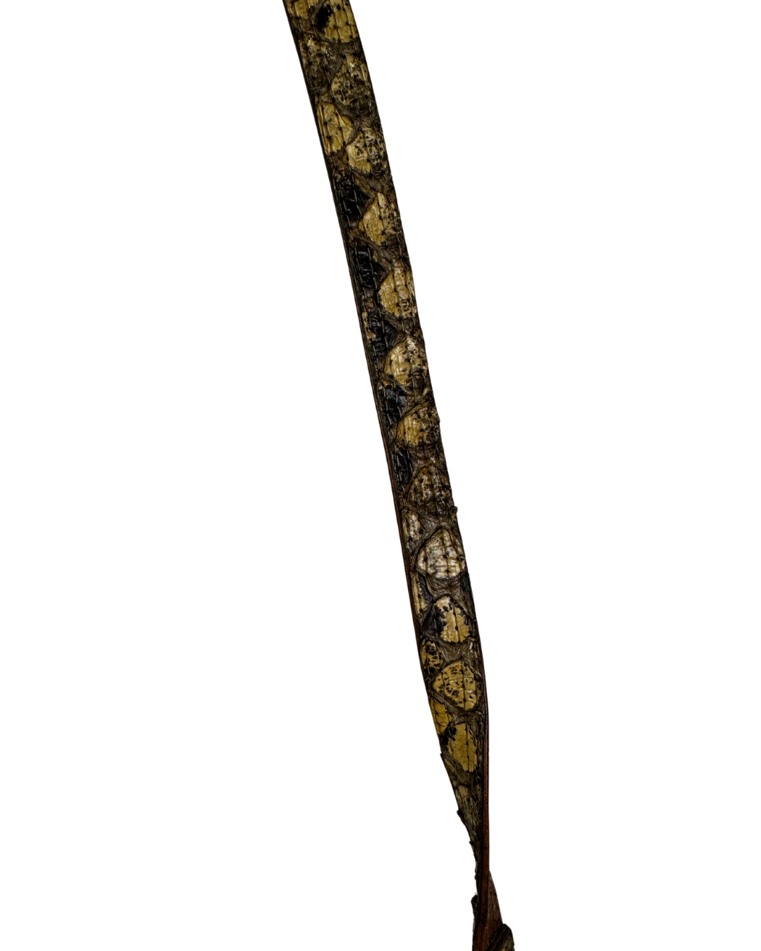 Vintage Genuine Snakeskin Crossbody Bag with Gold Accents
