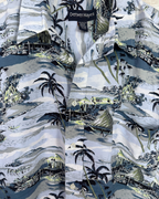 Denver Hayes Hawaiian Shirt 2XL