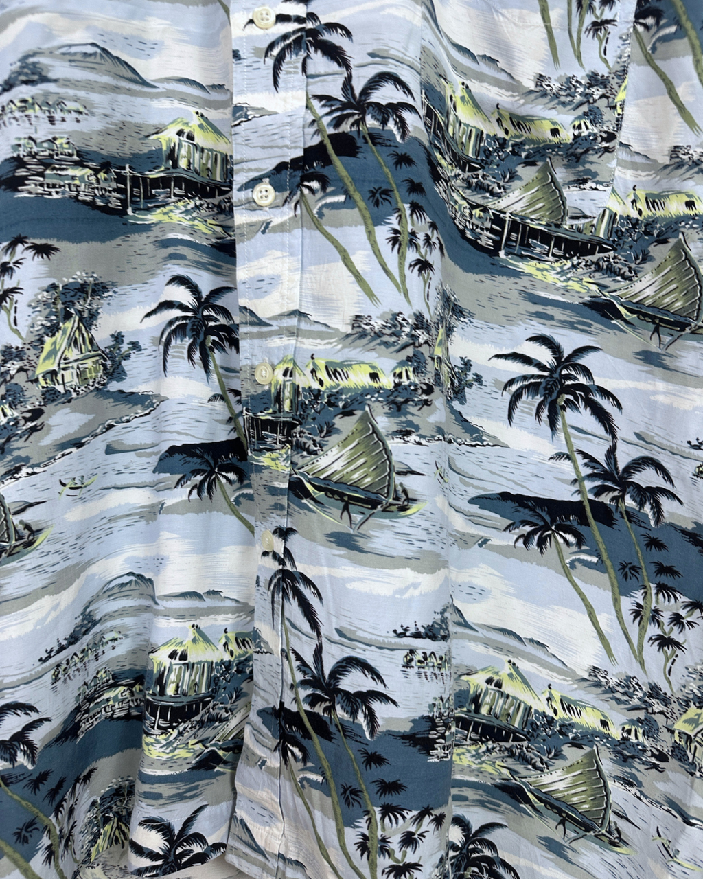 Denver Hayes Hawaiian Shirt 2XL