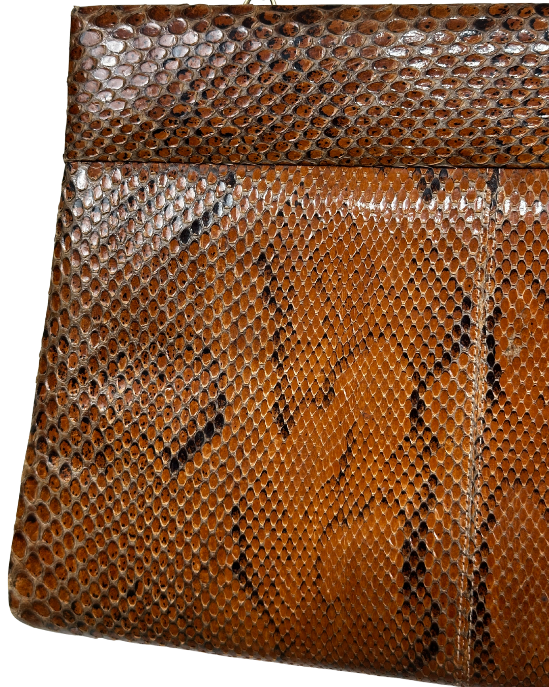 Vintage Genuine Brown Snakeskin Crossbody Bag with Golden Chain Strap