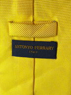 Antonio Ferrary Necktie 10.5 cm