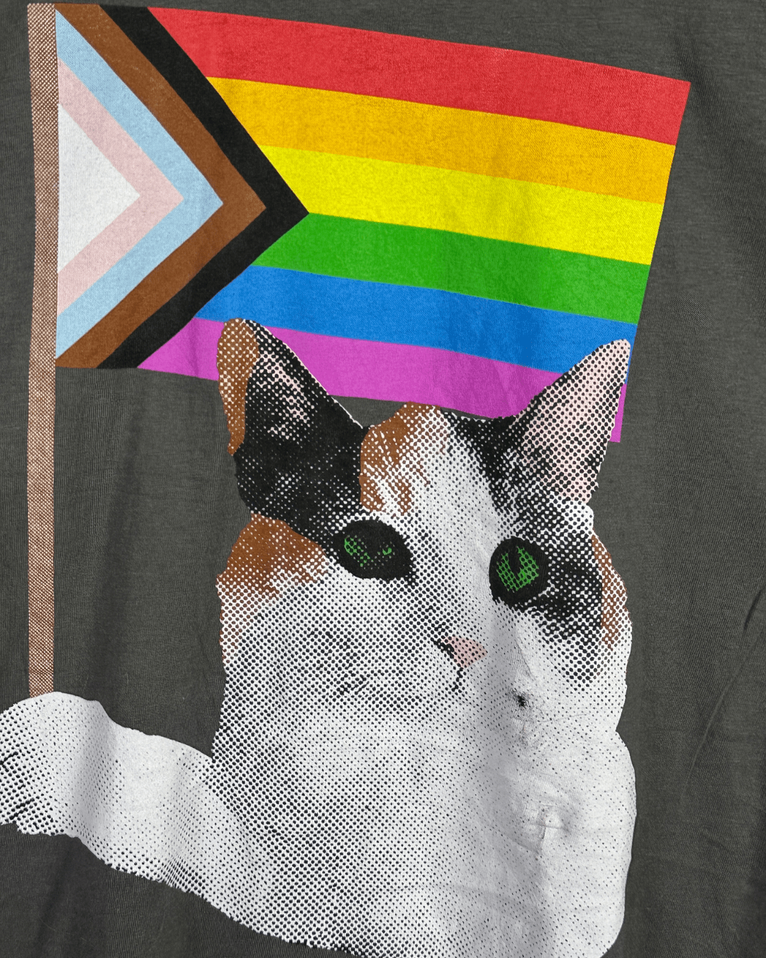 Attic Salt Rainbow Cat T-shirt - Funkify