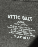 Attic Salt Rainbow Cat T-shirt - Funkify