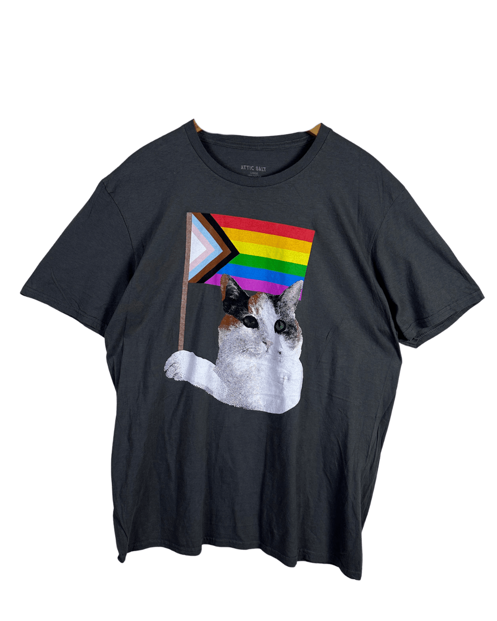 Attic Salt Rainbow Cat T-shirt - Funkify