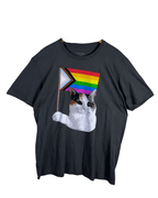 Attic Salt Rainbow Cat T-shirt - Funkify