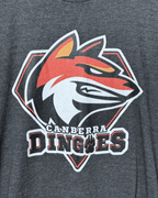 Caberra Dingoes Graphic T-shirt XL - Funkify