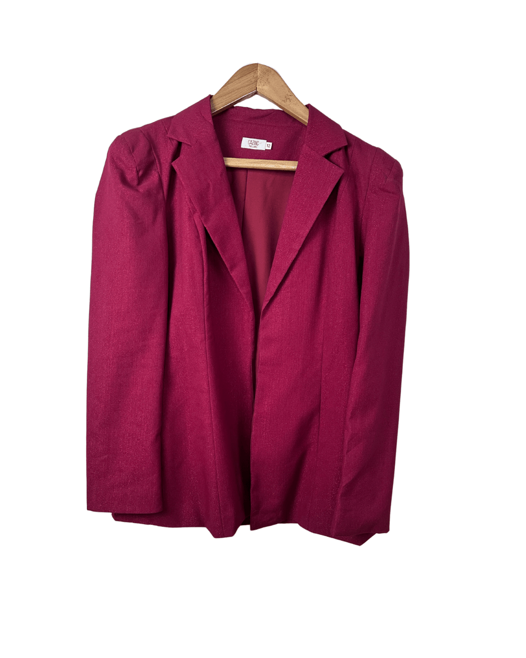 Caznic The Label Shimmering Open Front Blazer - Funkify
