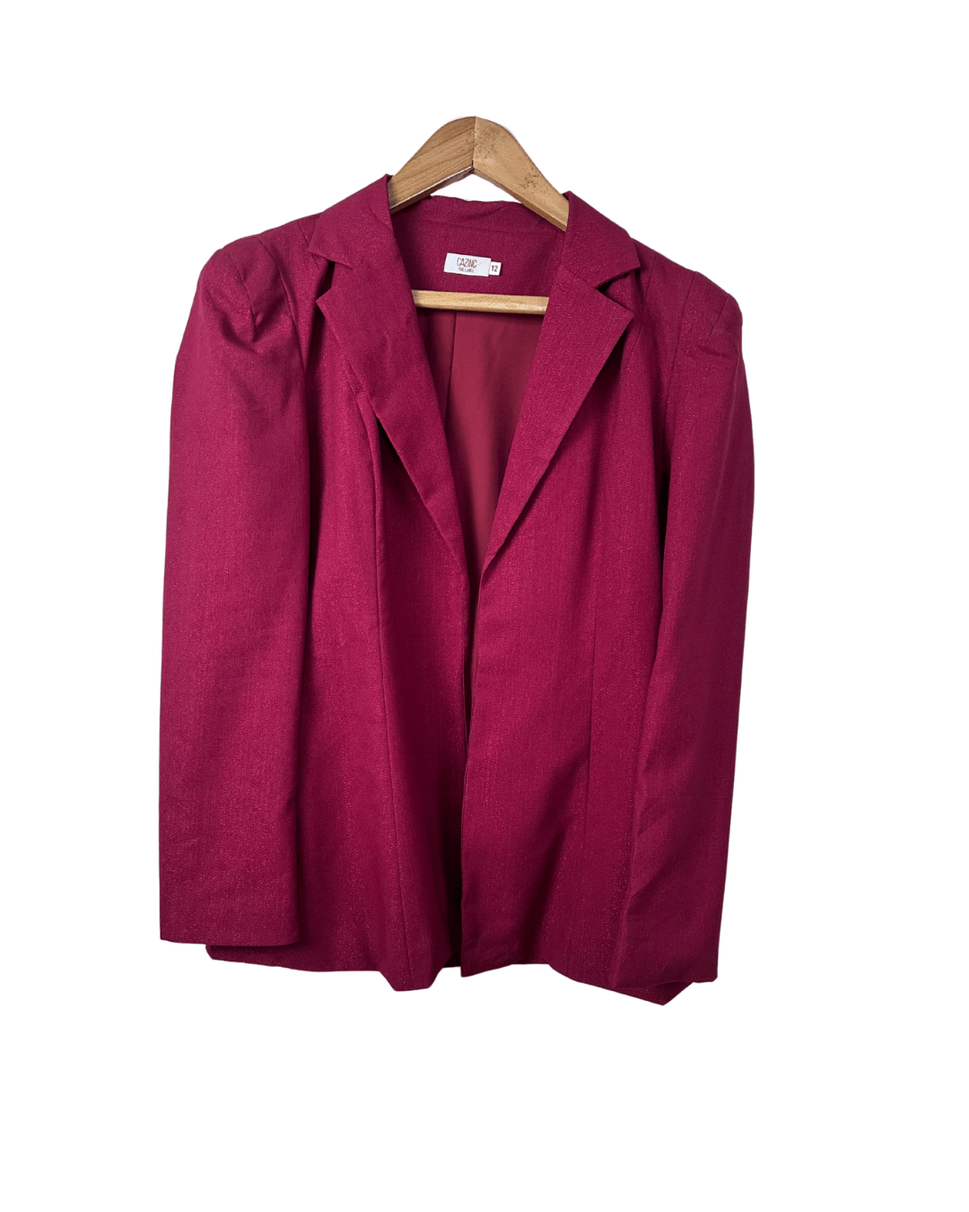 Caznic The Label Shimmering Open Front Blazer - Funkify