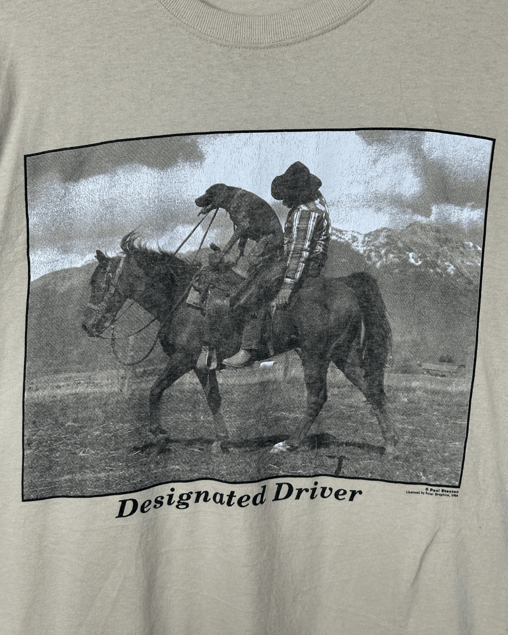 Designated Driver Graphic Tee 2XL - Funkify