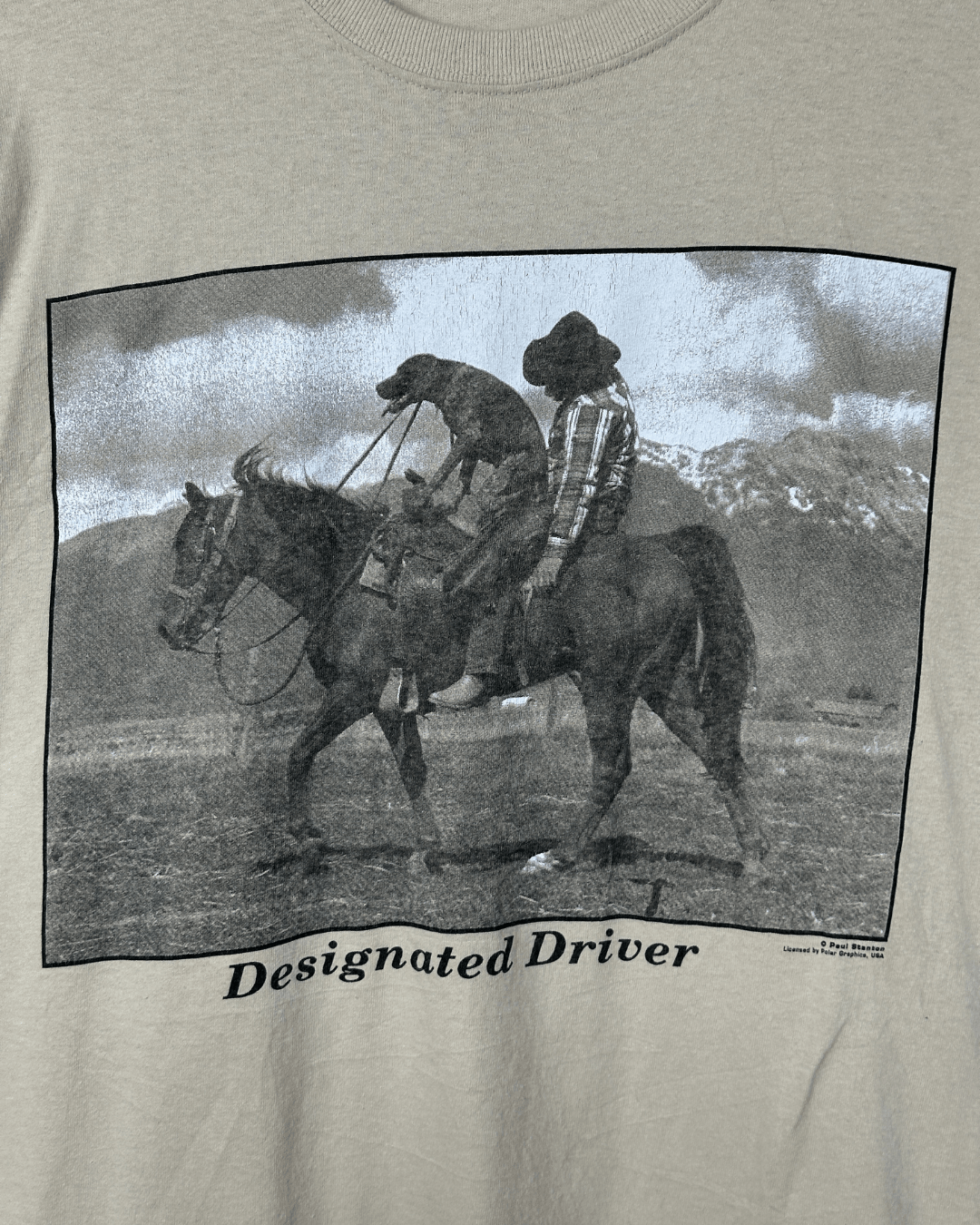 Designated Driver Graphic Tee 2XL - Funkify