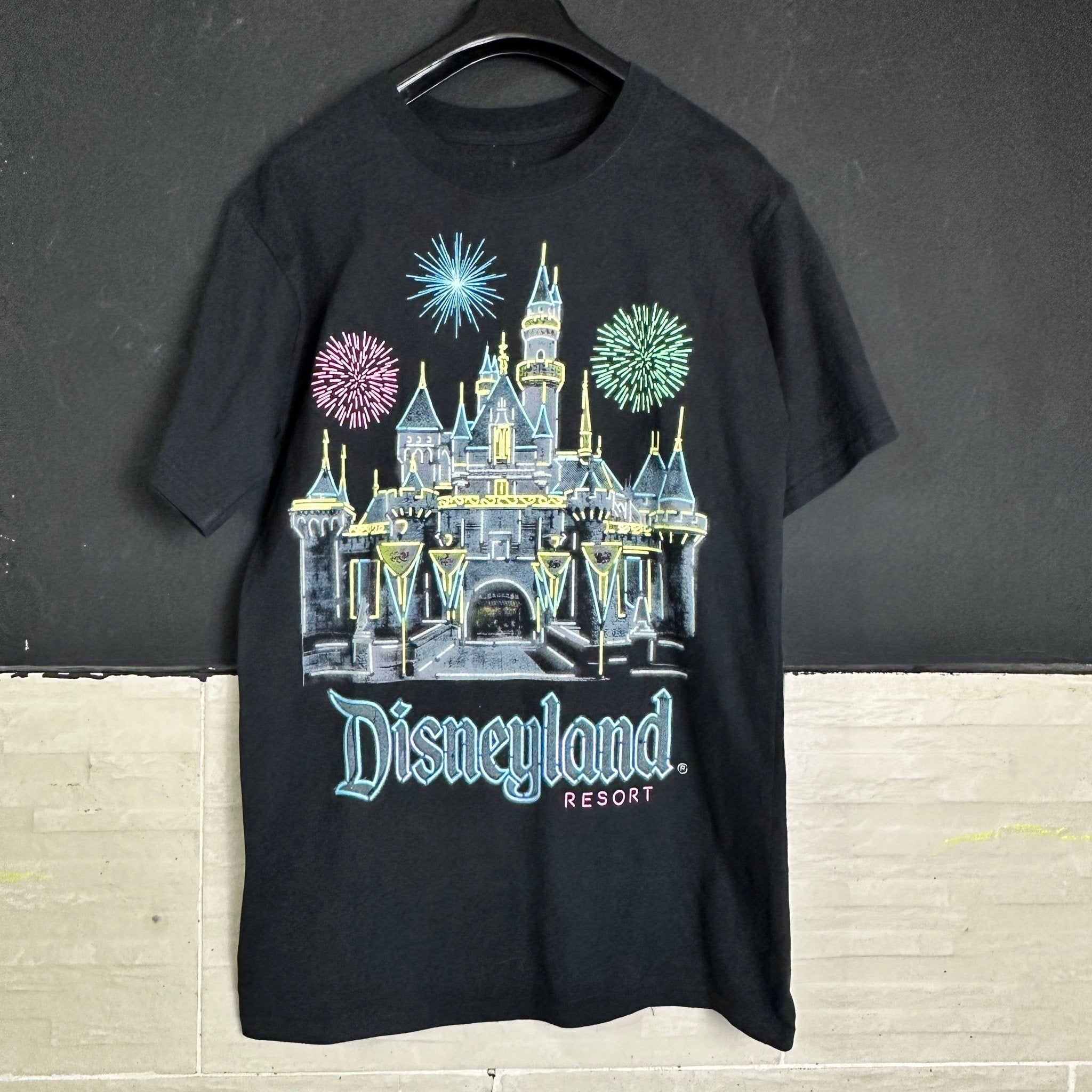 DisneyLand Resort T-Shirt Small - Funkify