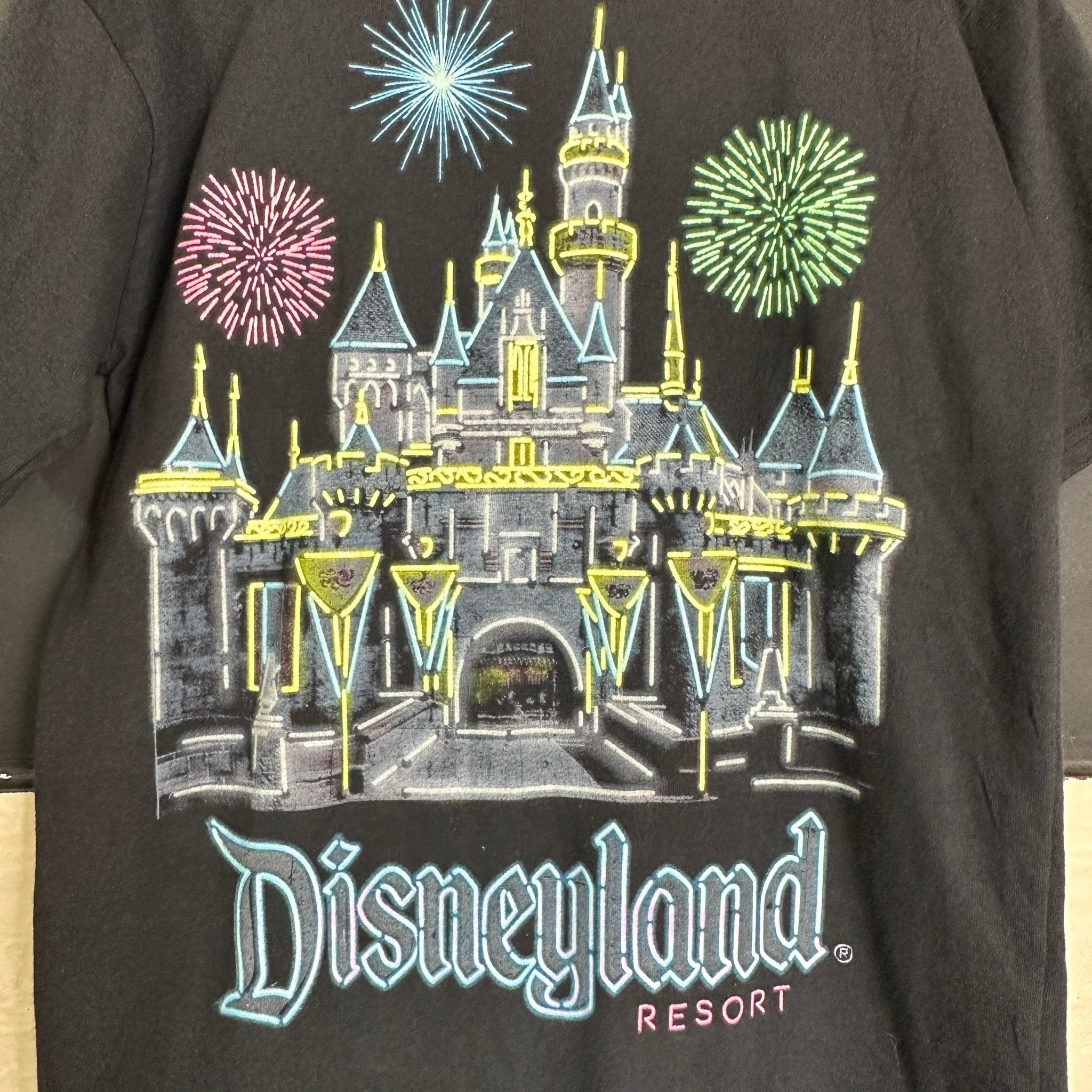 DisneyLand Resort T-Shirt Small - Funkify