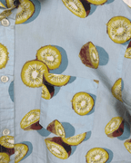 Kiwi Pattern Shirt 2XL - Funkify
