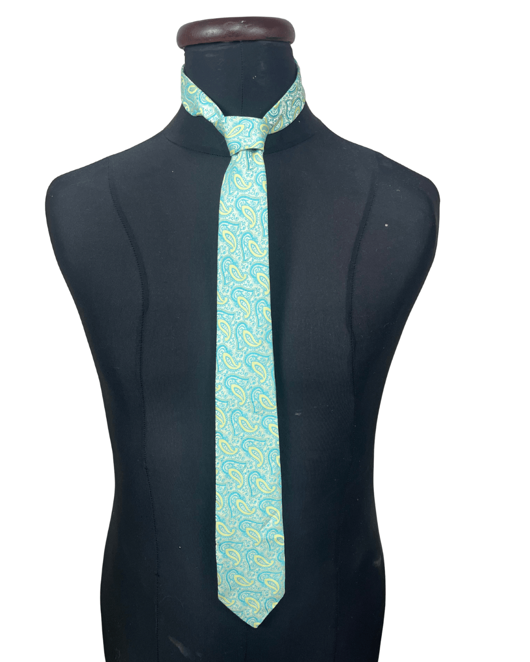Paisley Necktie - Funkify