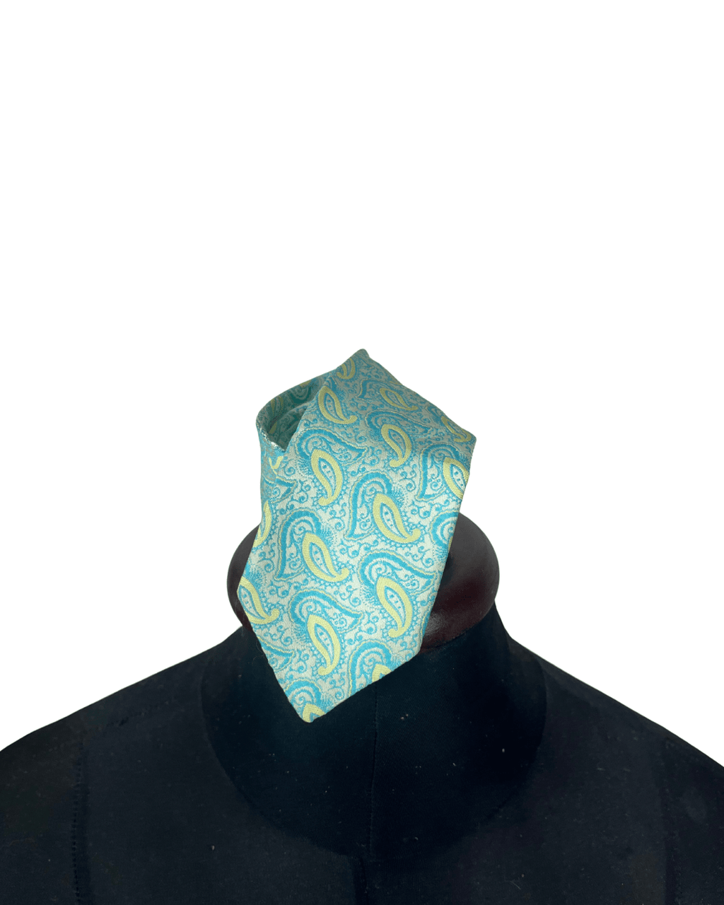 Paisley Necktie - Funkify