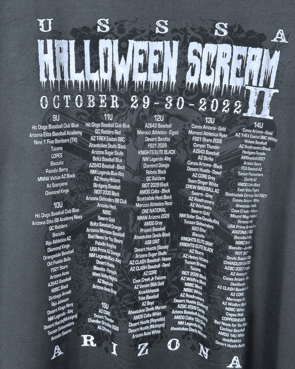 USSSA Halloween Scream II Arizona Tee XL - Funkify