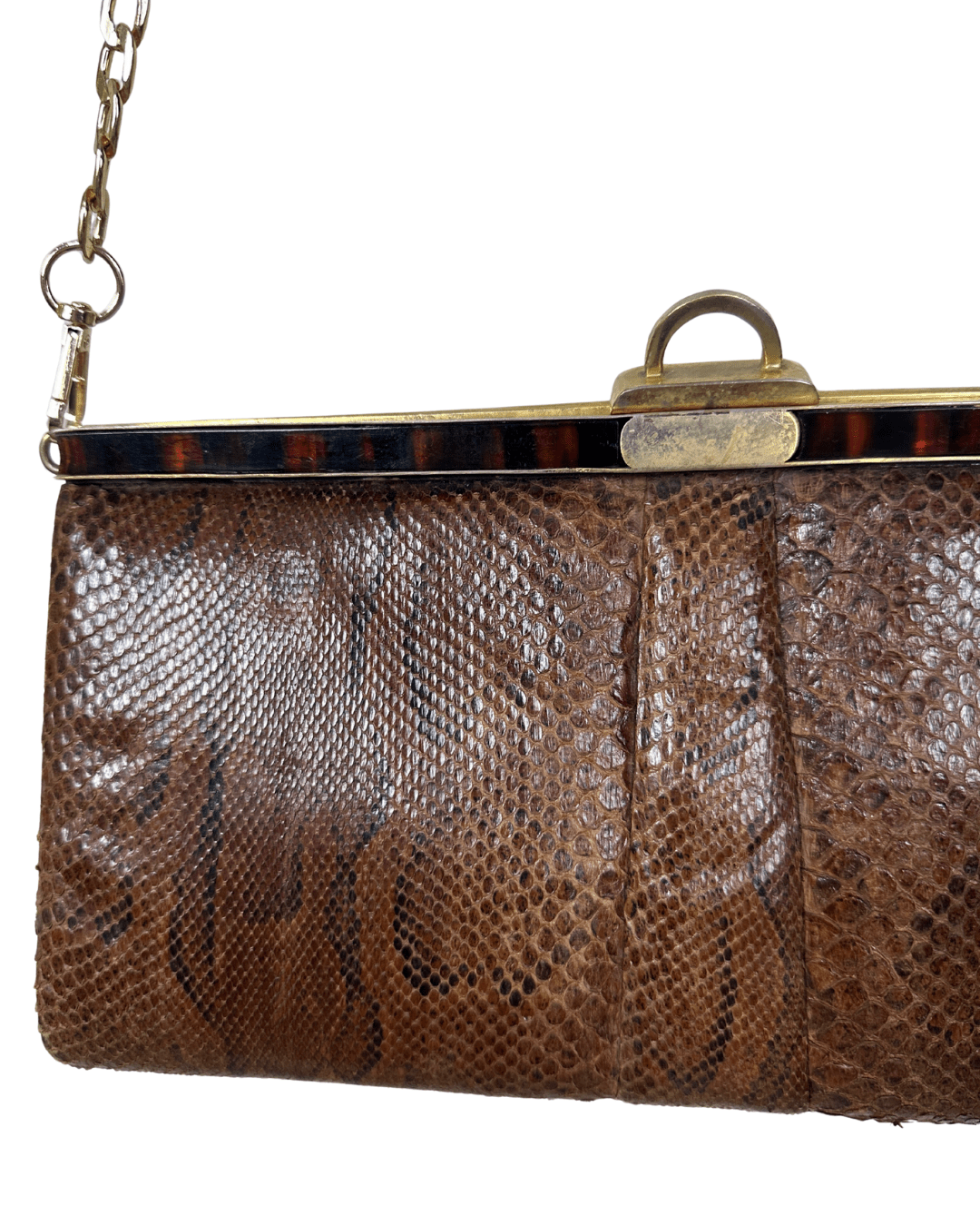 Vintage 1970s Genuine Snakeskin with Gold Chain Strap - Funkify